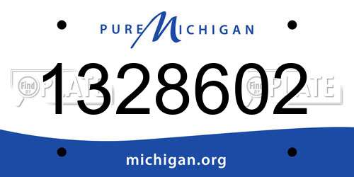 1328602 Michigan License Plate