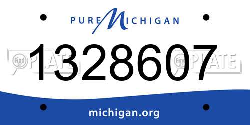 1328607 Michigan License Plate