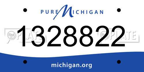 1328822 Michigan License Plate