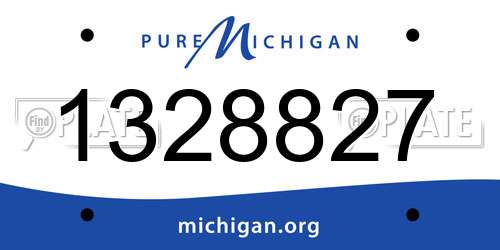1328827 Michigan License Plate