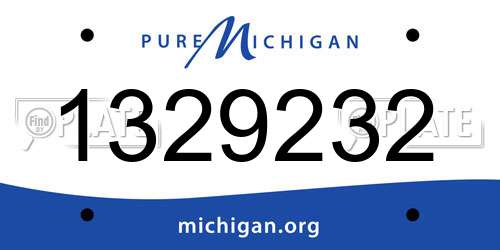 1329232 Michigan License Plate