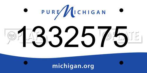 1332575 Michigan License Plate