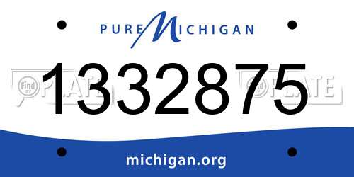 1332875 Michigan License Plate