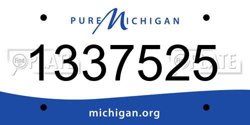 1337525 Michigan License Plate