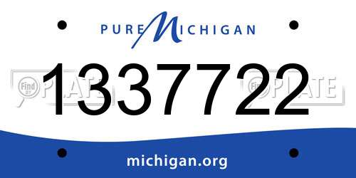 1337722 Michigan License Plate