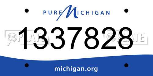 1337828 Michigan License Plate