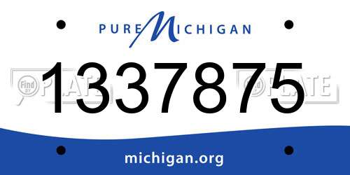 1337875 Michigan License Plate