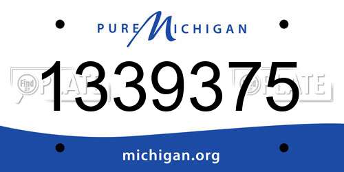 1339375 Michigan License Plate