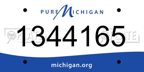 1344165 Michigan License Plate