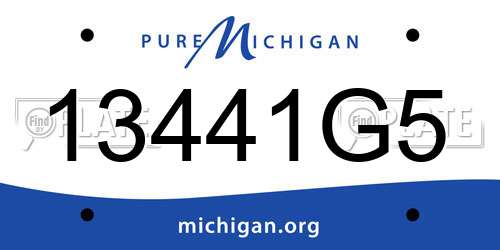 13441G5 Michigan License Plate