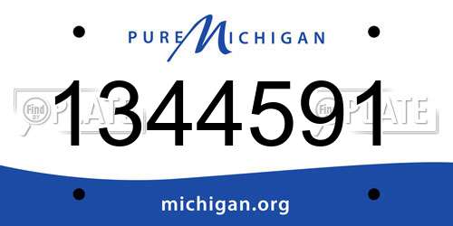 1344591 Michigan License Plate