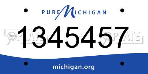 1345457 Michigan License Plate