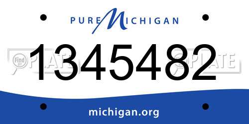 1345482 Michigan License Plate