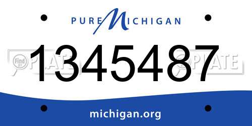 1345487 Michigan License Plate