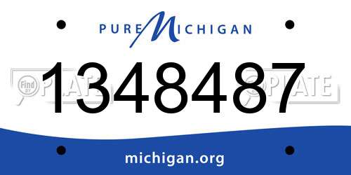 1348487 Michigan License Plate
