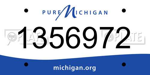1356972 Michigan License Plate