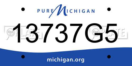 13737G5 Michigan License Plate