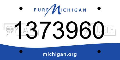1373960 Michigan License Plate