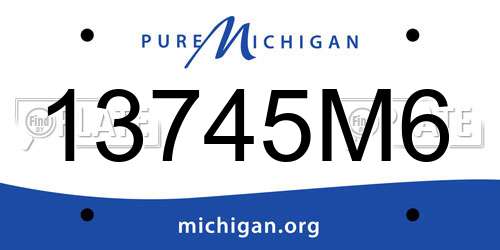 13745M6 Michigan License Plate
