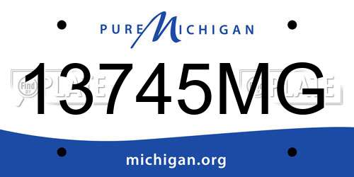 13745MG Michigan License Plate