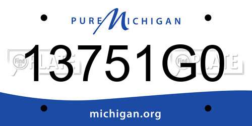 13751G0 Michigan License Plate