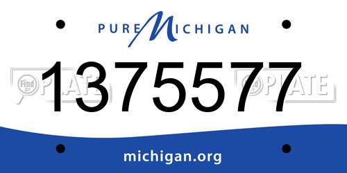 1375577 Michigan License Plate