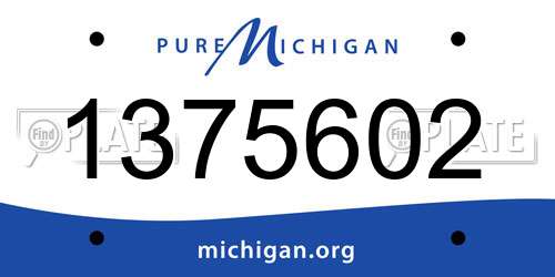 1375602 Michigan License Plate
