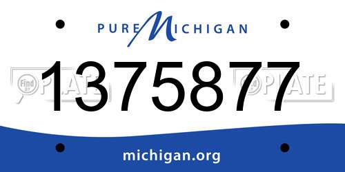1375877 Michigan License Plate