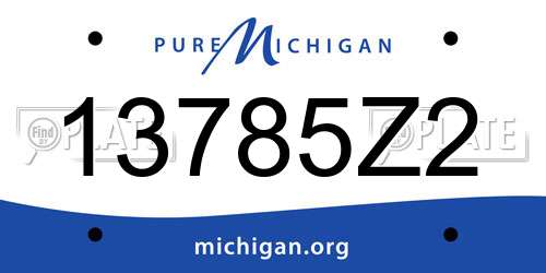 13785Z2 Michigan License Plate