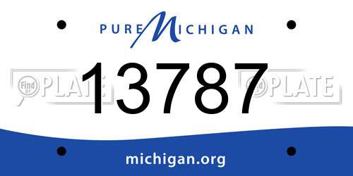13787 Michigan License Plate