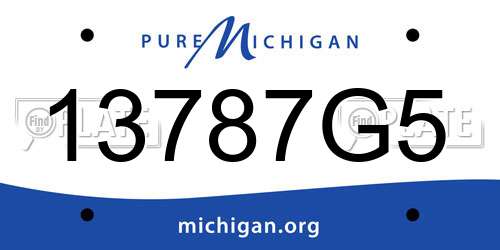 13787G5 Michigan License Plate