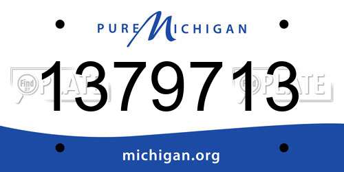 1379713 Michigan License Plate