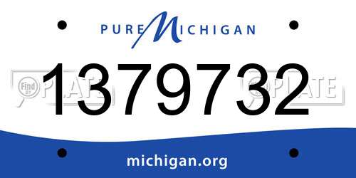 1379732 Michigan License Plate
