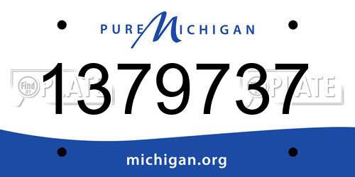 1379737 Michigan License Plate