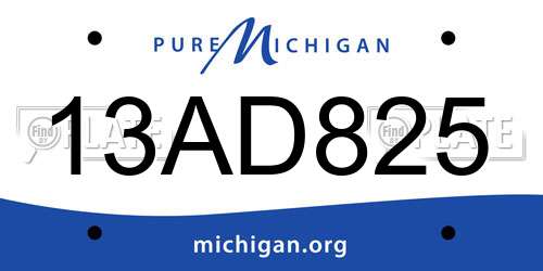 13AD825 Michigan License Plate