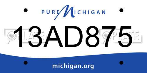 13AD875 Michigan License Plate