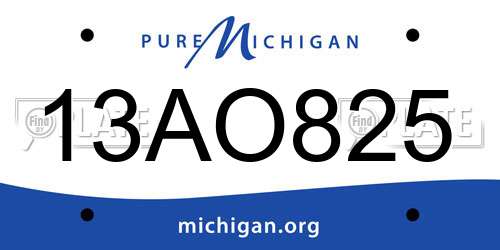 13AO825 Michigan License Plate