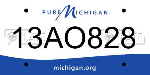 13AO828 Michigan License Plate