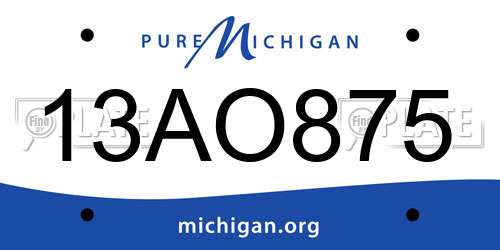 13AO875 Michigan License Plate