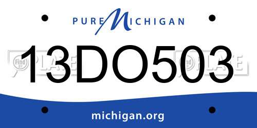 13DO503 Michigan License Plate
