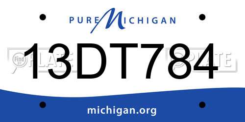 13DT784 Michigan License Plate