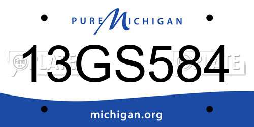 13GS584 Michigan License Plate