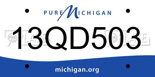 13QD503 Michigan License Plate
