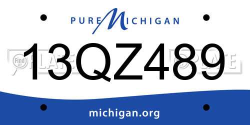 13QZ489 Michigan License Plate