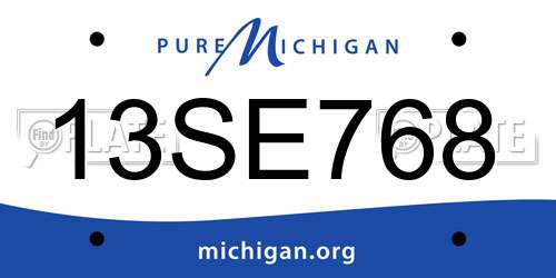 13SE768 Michigan License Plate