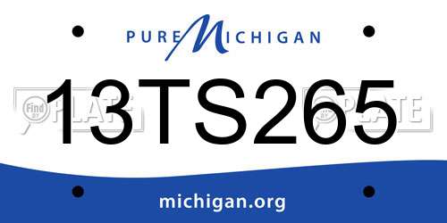 13TS265 Michigan License Plate