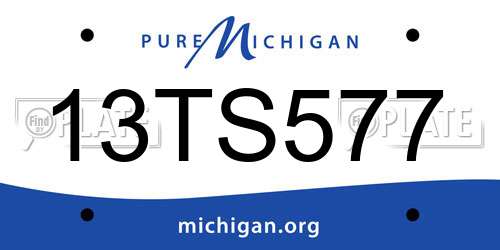 13TS577 Michigan License Plate