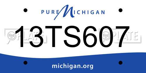 13TS607 Michigan License Plate