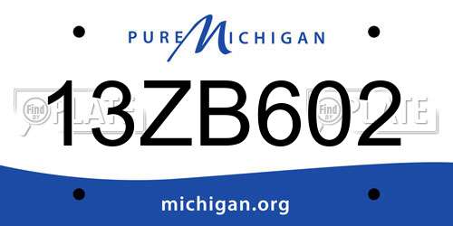 13ZB602 Michigan License Plate