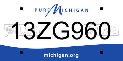 13ZG960 Michigan License Plate